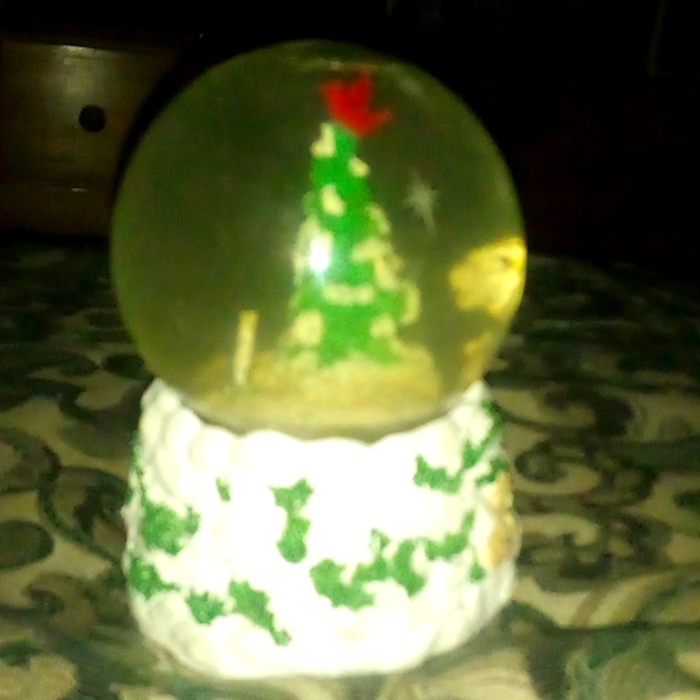 Snow glob